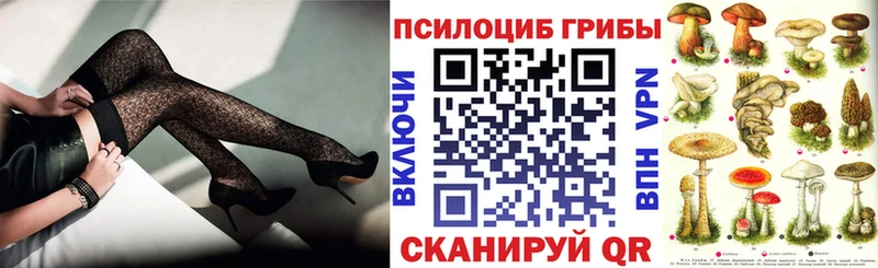 blacksprut tor  Алагир  Галлюциногенные грибы GOLDEN TEACHER 